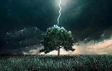 下雨打雷時我們躲在大樹底下為什么容易遭受雷擊？