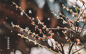 小雪時節寒氣重-保暖御寒為首要-易造防雷