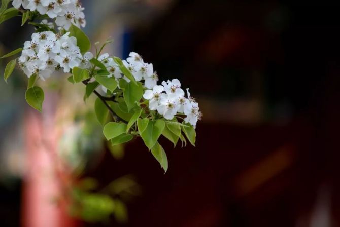 立夏丨春光萬(wàn)象中，夏日初長(zhǎng)成--易造防雷