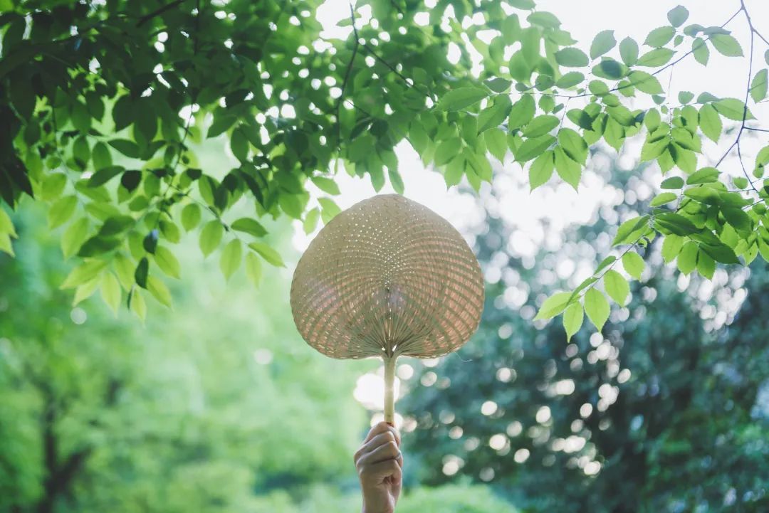 立夏丨春光萬(wàn)象中，夏日初長(zhǎng)成--易造防雷