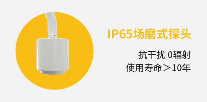 雷電預警系統(tǒng)-IP65場磨式探頭